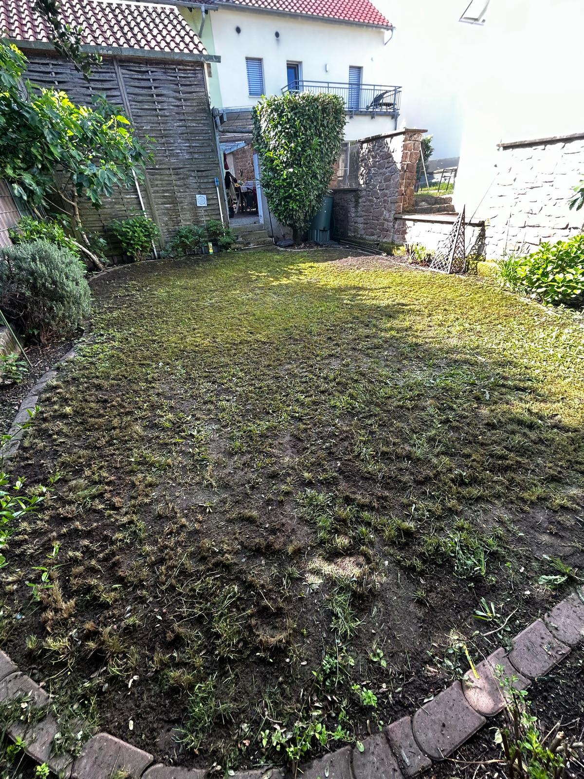 Gartenpflege vorher